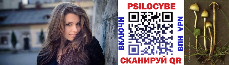 где можно купить   Калач  Галлюциногенные грибы мухоморы 
